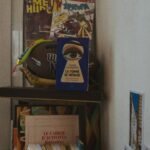 la femme de ménage de Freida McFadden